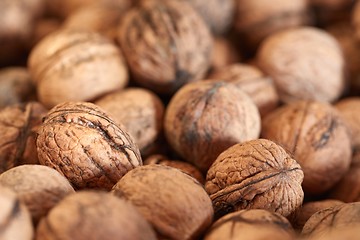 Image showing Walnuts in a pile