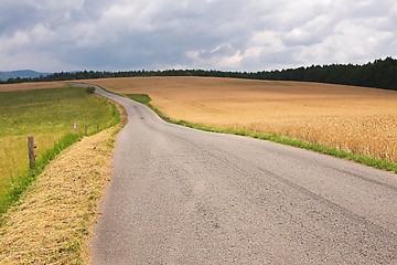 Image showing Road through farmlands