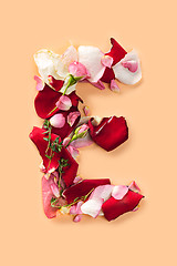 Image showing Letter E made from red roses and petals isolated on a white background