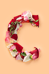 Image showing Letter C made from red roses and petals isolated on a white background