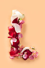 Image showing Letter L made from red roses and petals isolated on a white background