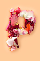 Image showing Letter P made from red roses and petals isolated on a white background