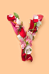 Image showing Letter Y made from red roses and petals isolated on a white background