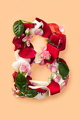 Image showing Letter B made from red roses and petals isolated on a white background