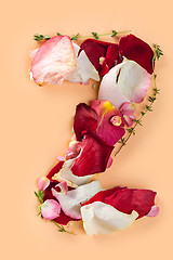 Image showing Letter Z made from red roses and petals isolated on a white background