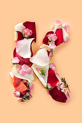 Image showing Letter K made from red roses and petals isolated on a white background