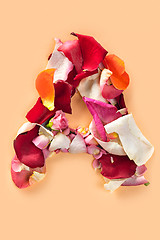 Image showing Letter A made from red roses and petals isolated on a white background