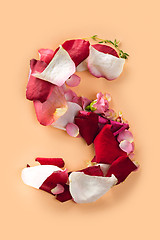 Image showing Letter S made from red roses and petals isolated on a white background
