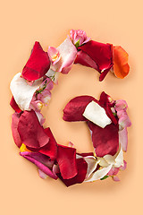 Image showing Letter G made from red roses and petals isolated on a white background