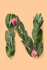 Image showing Letter N made from green petals of sage