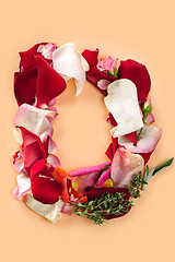 Image showing Letter D made from red roses and petals isolated on a white background