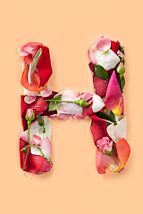 Image showing Letter H made from red roses and petals isolated on a white background