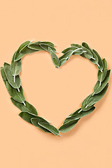 Image showing heart shape made from green petals of sage