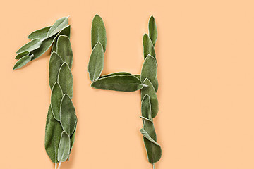 Image showing The number 14 made from green petals of sage