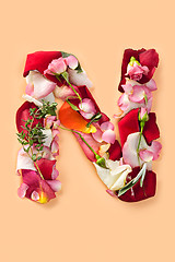 Image showing Letter N made from red roses and petals isolated on a white background