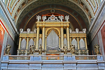 Image showing organ