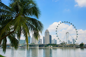 Image showing Singapore Flyer and palm tree