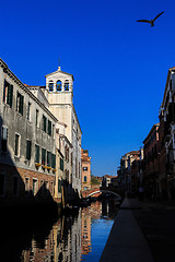 Image showing A canal view vith a flying bird in Venice Italy