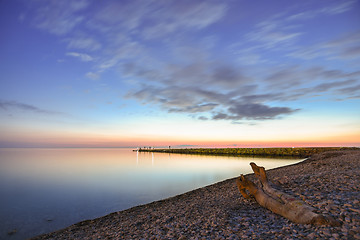 Image showing Seascape, snag on the seashore, in the background breakwater, Black Sea, Small Bay, Anapa, Russia