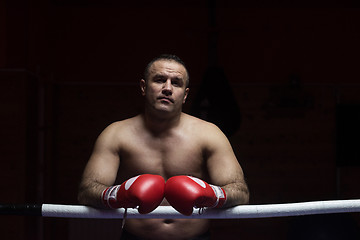 Image showing portrait of muscular professional kickboxer