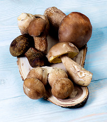 Image showing Fresh Boletus Mushrooms