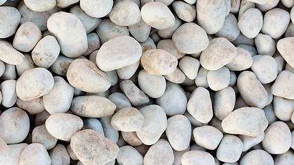 Image showing Background of Seashore Pebble 