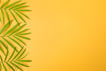 Image showing Green palm leaves on bright yellow background