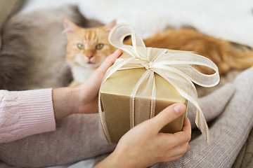 Image showing close up of female hands holding christmas gift