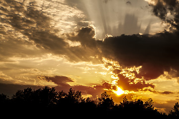 Image showing clouds over forest at summer 