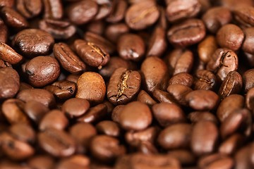 Image showing Coffee beans closeup