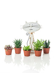 Image showing Succulent plants and wooden cat on white background