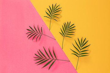 Image showing Palm leaves on vibrant pink and yellow background