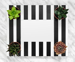 Image showing Striped picture frame and succulent plants