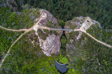 Image showing Bridge between two cliffs Grand Clifftop Walk  Blue mountains