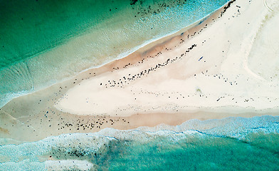 Image showing High tide over the sand spit