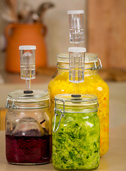 Image showing Fermented food jars