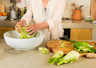 Image showing Cabbage kimchi and sauerkraut 