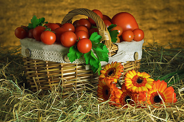 Image showing Tomatoes