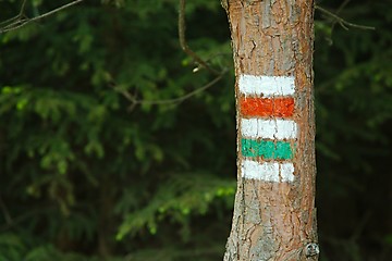 Image showing Hiking trail signs