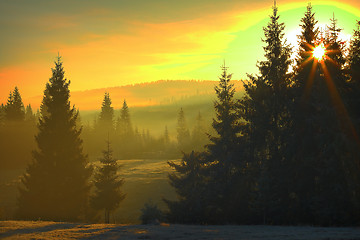 Image showing orange sunlight over the trees