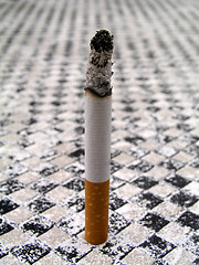 Image showing Cigarette