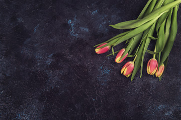 Image showing Tulips on darken concrete background