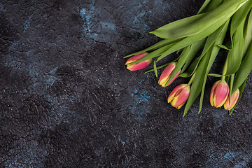 Image showing Tulips on darken concrete background