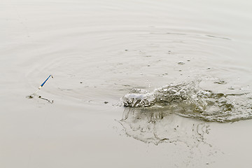 Image showing Fishing on a lake