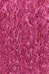 Image showing Pink rose background