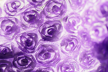 Image showing Purple rose background