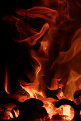 Image showing Fire flames