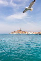 Image showing Panoramic view on old town Rovinj, Croatia.