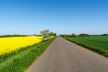 Image showing Road through a beautiful landscape by springtime