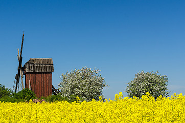 Image showing Old wooden windmill surrounded of beautiful spring season colors